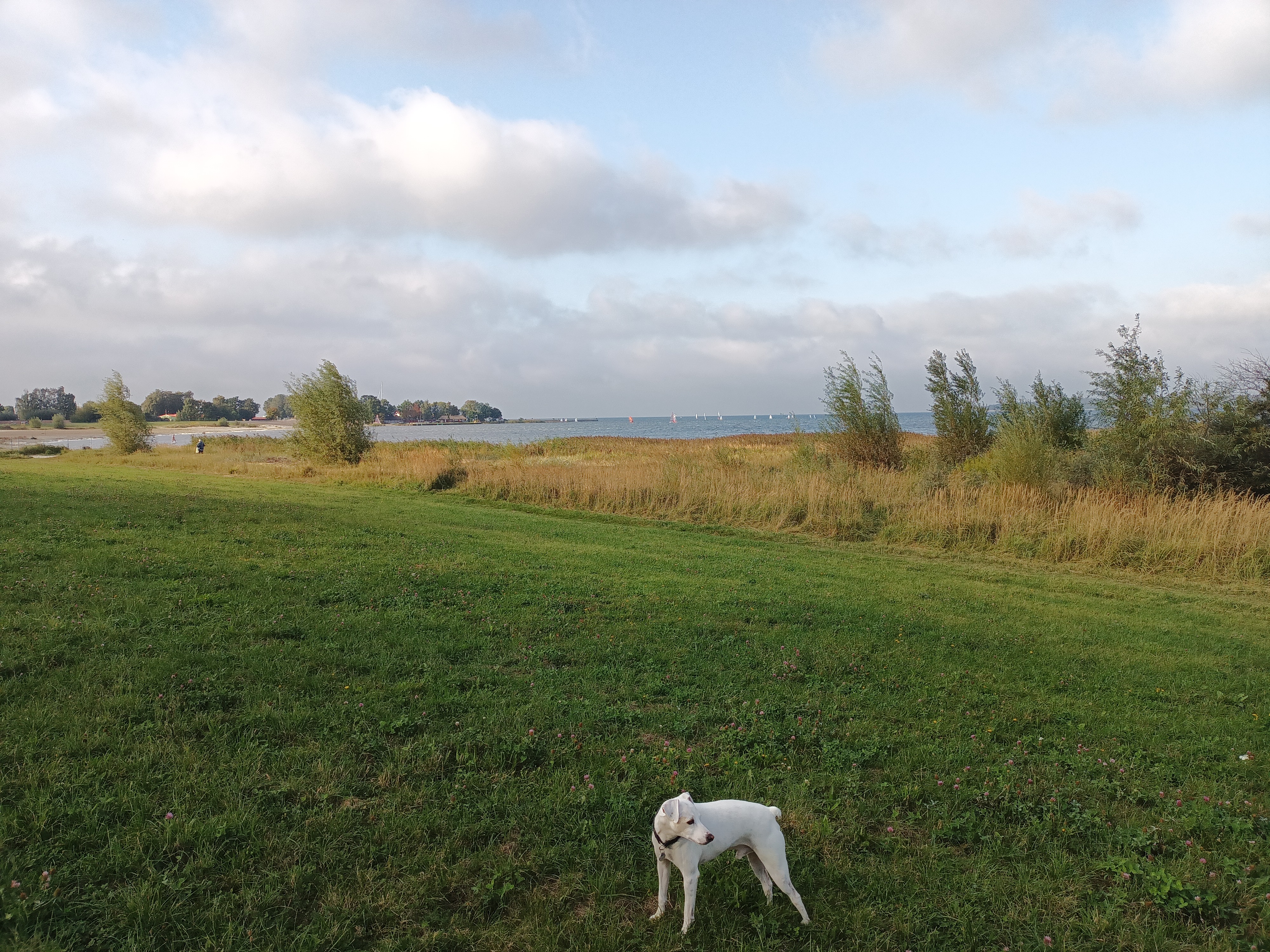 Fredo im Urlaub
